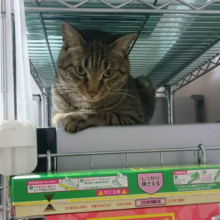 74821208 5690 46b9 a7b8 fe58f9c6fc49