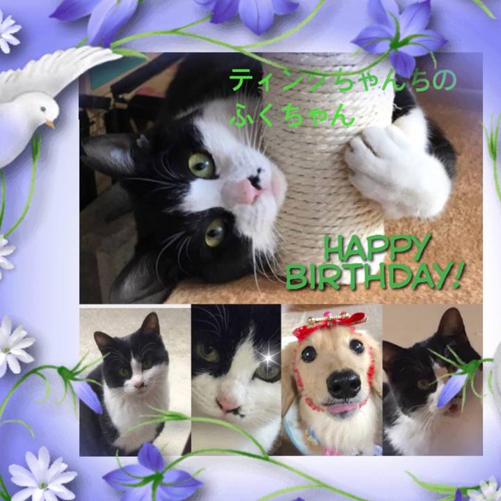 74825503 cc29 4bf2 93b4 a4be73e8c357