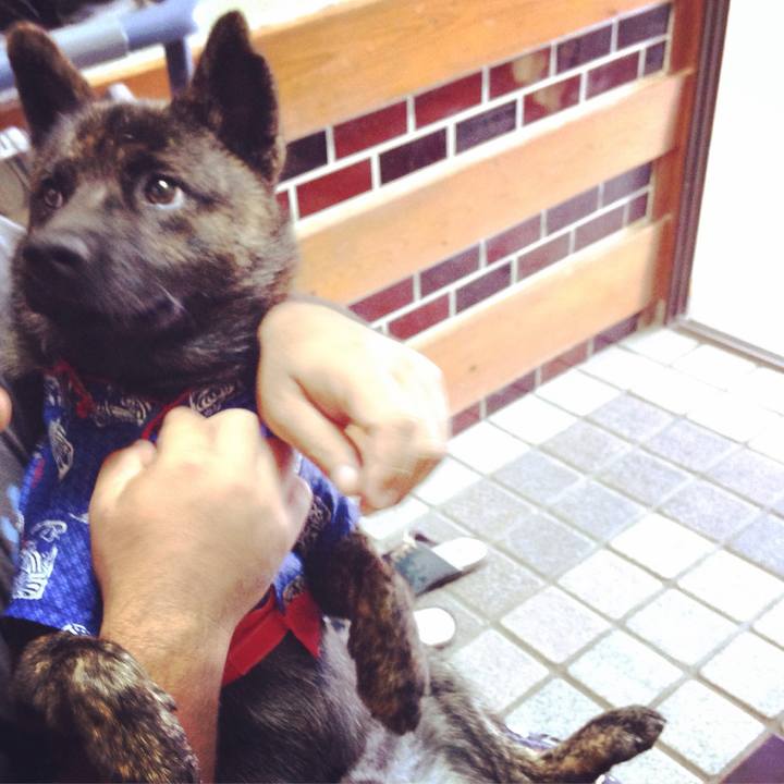 7482852a fd8c 49b1 ad22 ec4aedcda061