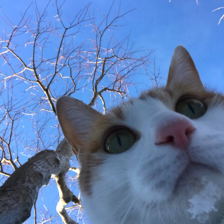 74828751 eb57 4830 a044 bd506013cc94