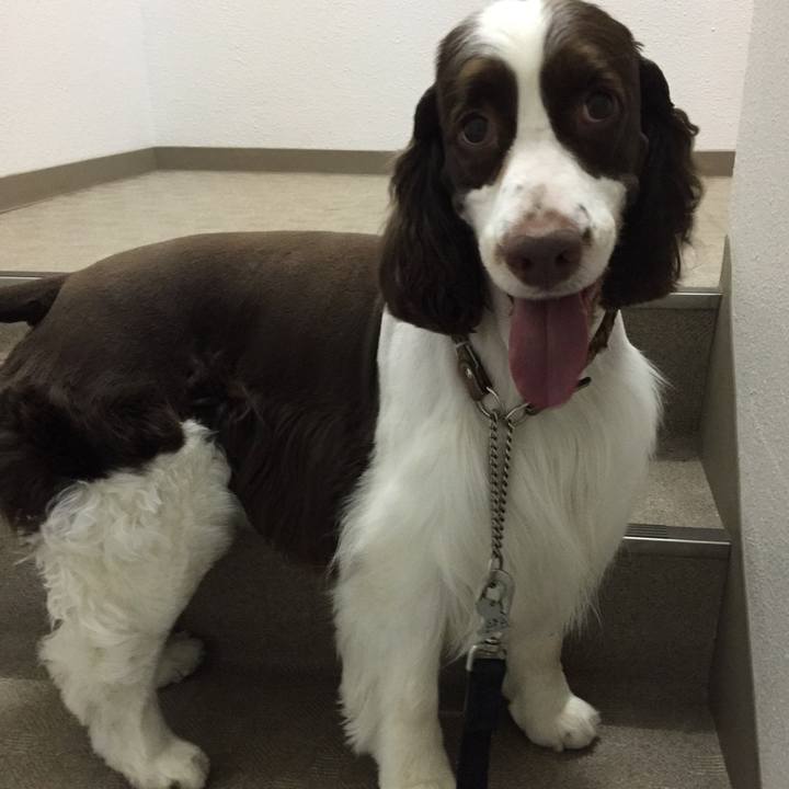 7482a8ad 2e42 4d33 9320 e261bd98e425