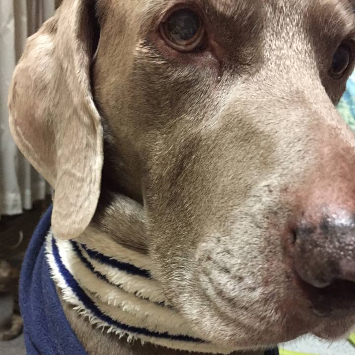 7483291f db3d 487b 9c57 ec3a20936172