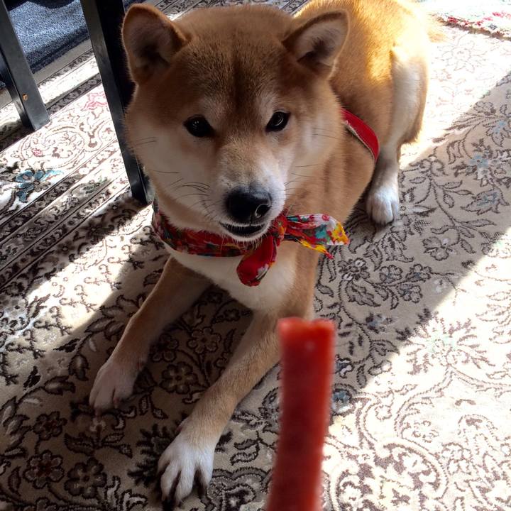 748332d3 14bb 4bab 8ac9 39ec43405537