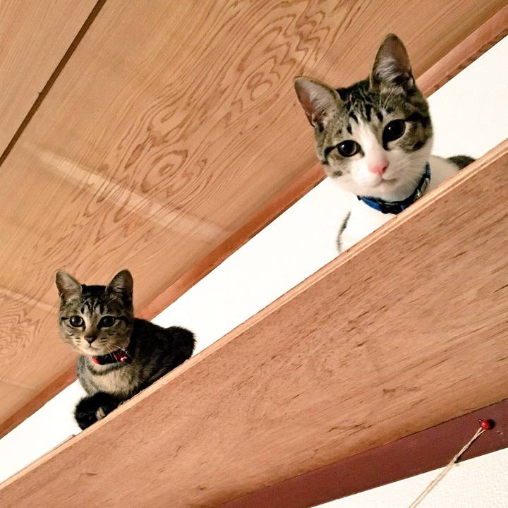 7483ec99 e7c3 4218 8830 96711a237399