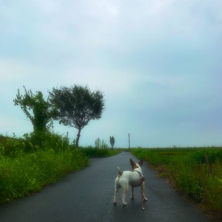 7483fa4f dfb3 4c7d b8ff ed0e99bbc287