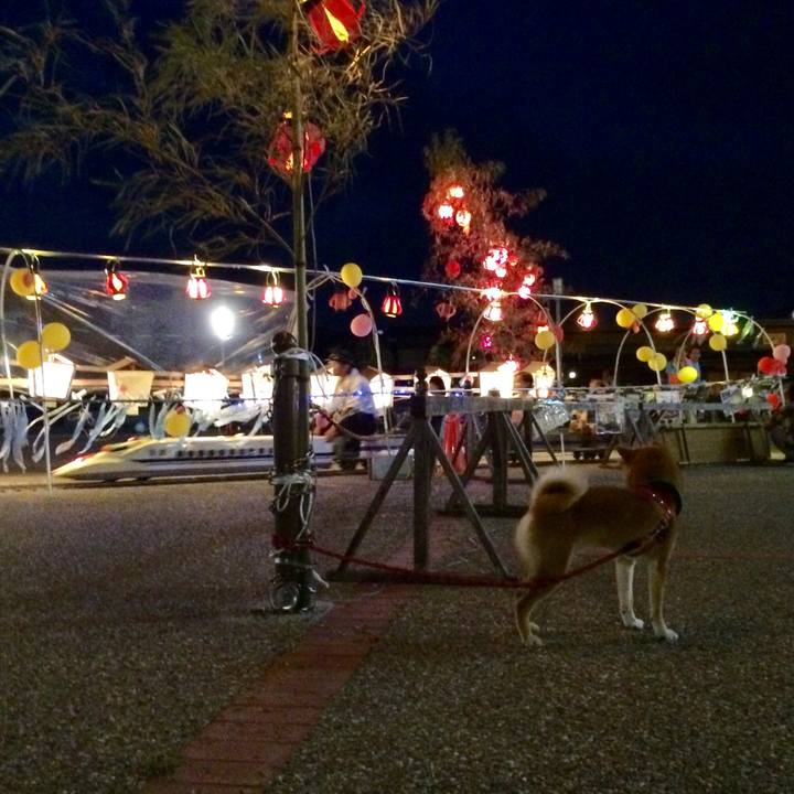 74841eda 0f22 410d b298 30d99e6e2257