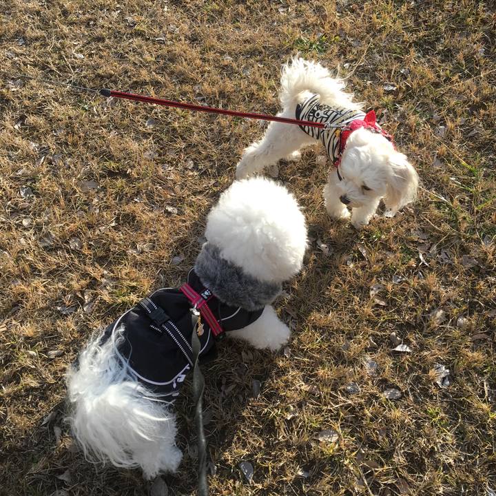 748478cb df8c 4ffc 9c66 5d4470516dfa