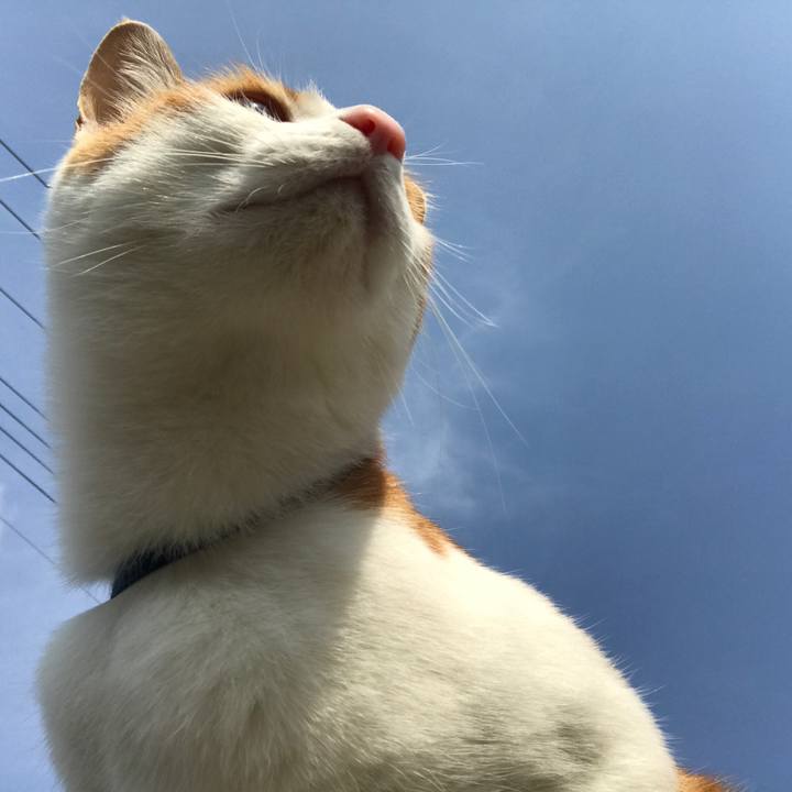 7484cb9c fcc9 47ec a95d d4a7a593a3c5