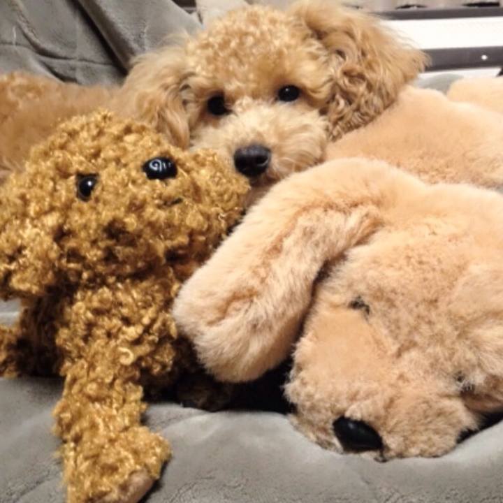 74850822 e3cd 4a43 93e3 c556426a95dd