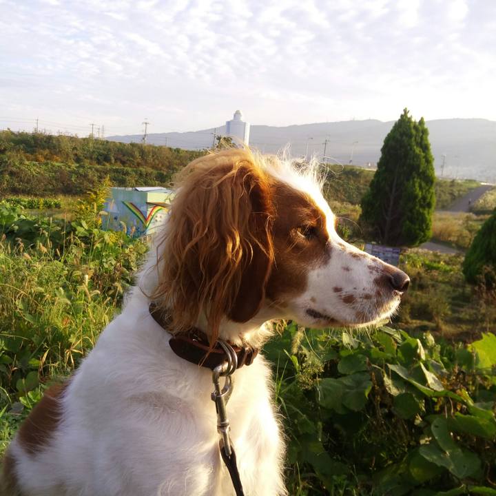 7486d4df 4da3 4d68 82b1 ee231e1d15c8