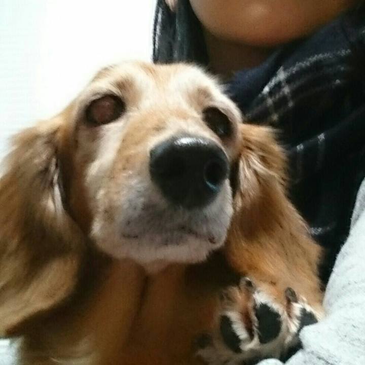 74889a51 ceb0 4082 b29d 2441c87404ad