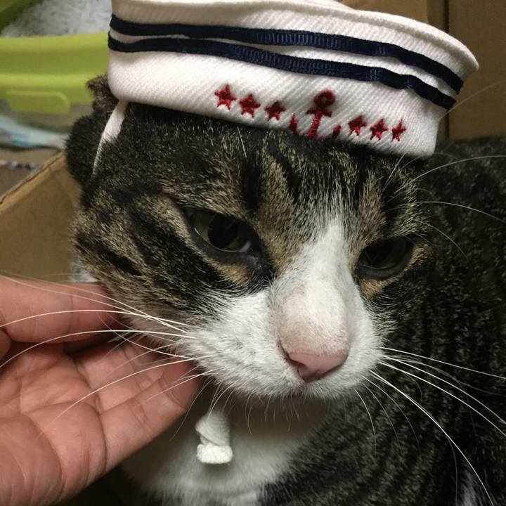 74897530 7d4b 483d b5f9 264a8e602100