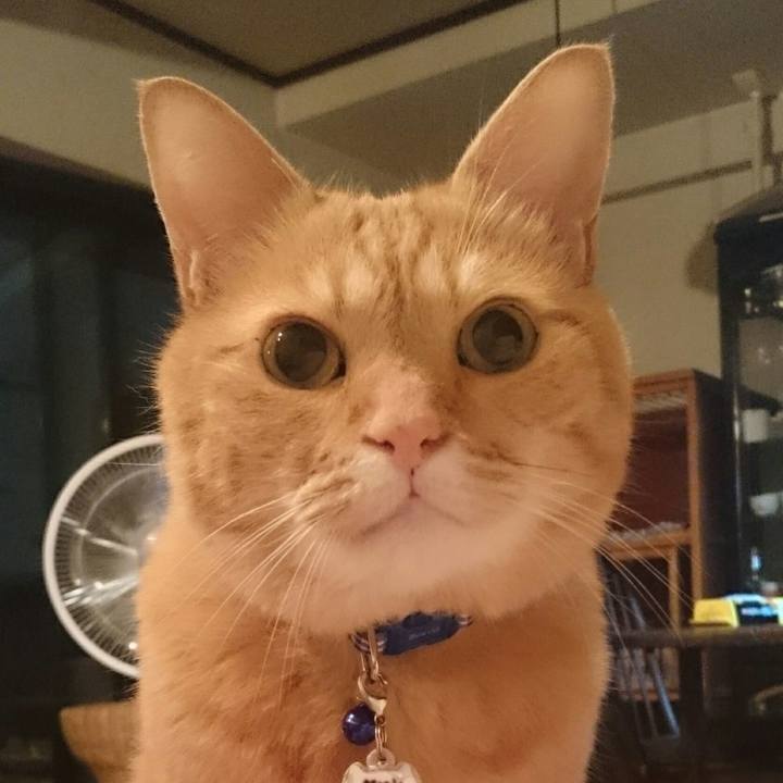 748998ad 32e4 4b7e 87aa 57c5dd3bdc77