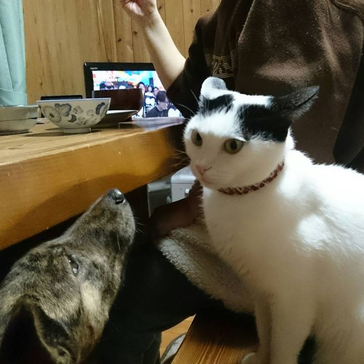 748a9f98 7ea3 4d28 8eff a237a25d1a65