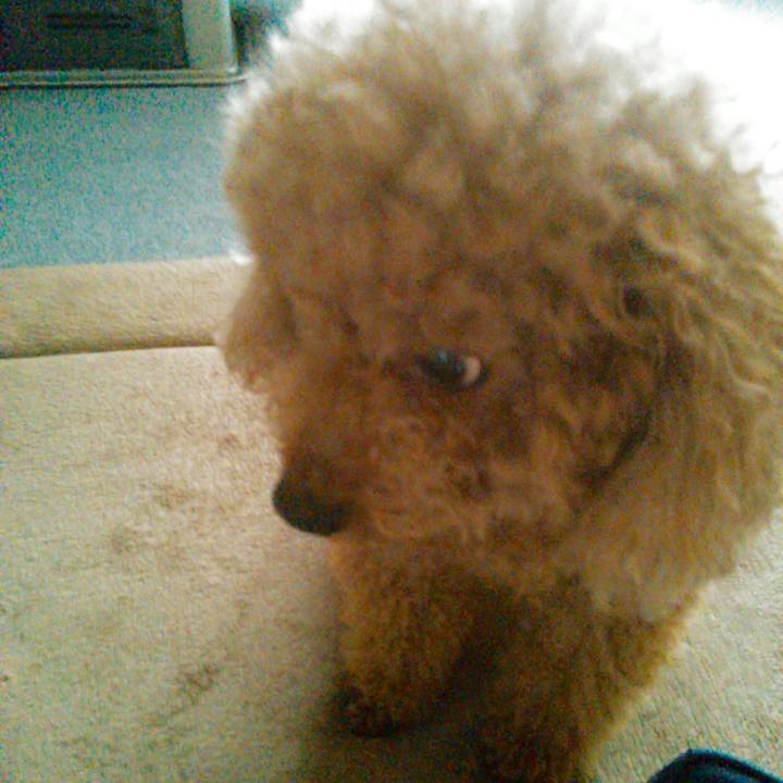 748abe7a 2f79 4c12 b247 bc4f0e0cef3a