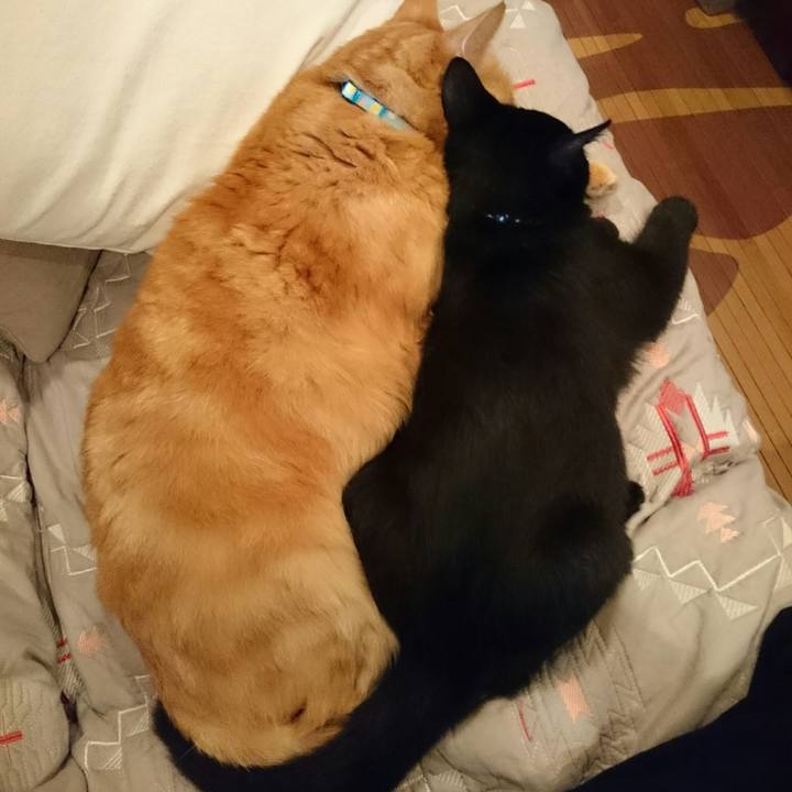 748b06c2 5ac7 403c 9736 c97227621ea8