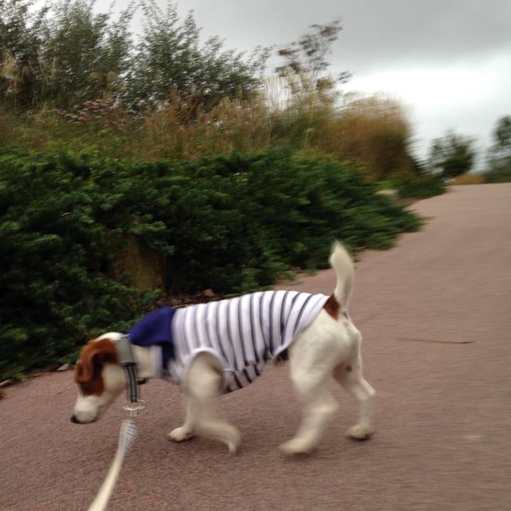 748b6e8b da89 4370 acb5 23abf0d9aff0