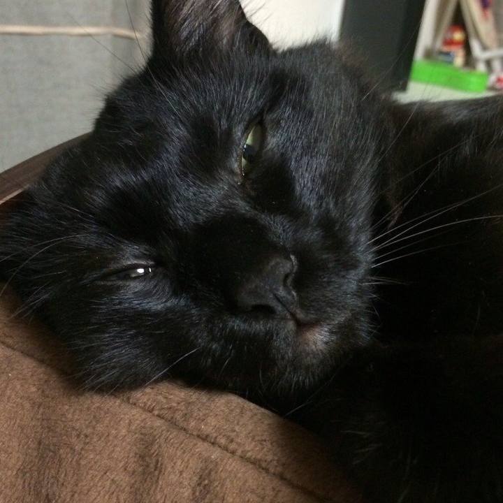 748b893e 27df 4dc4 b4ee 9b75caae30ad