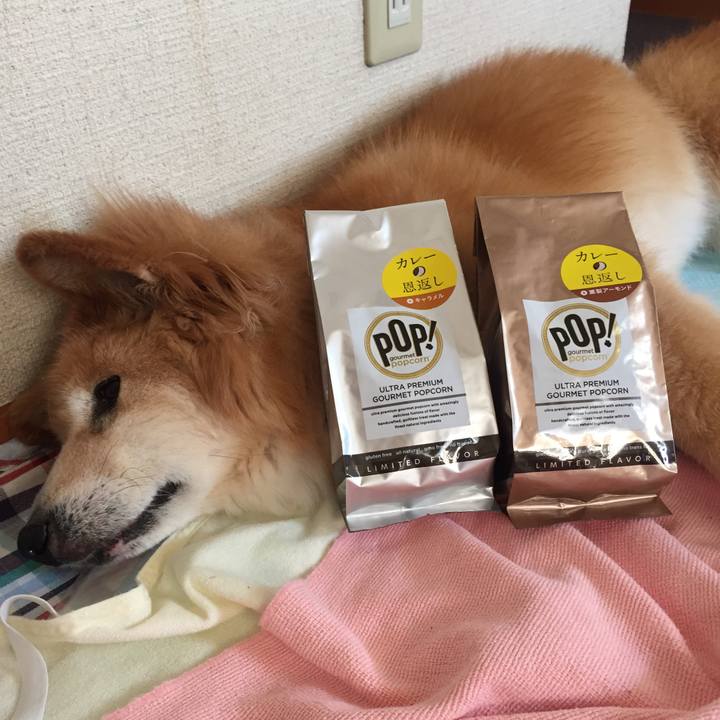 748bb50b 2882 40c6 bbc4 5eb5a9eecd11