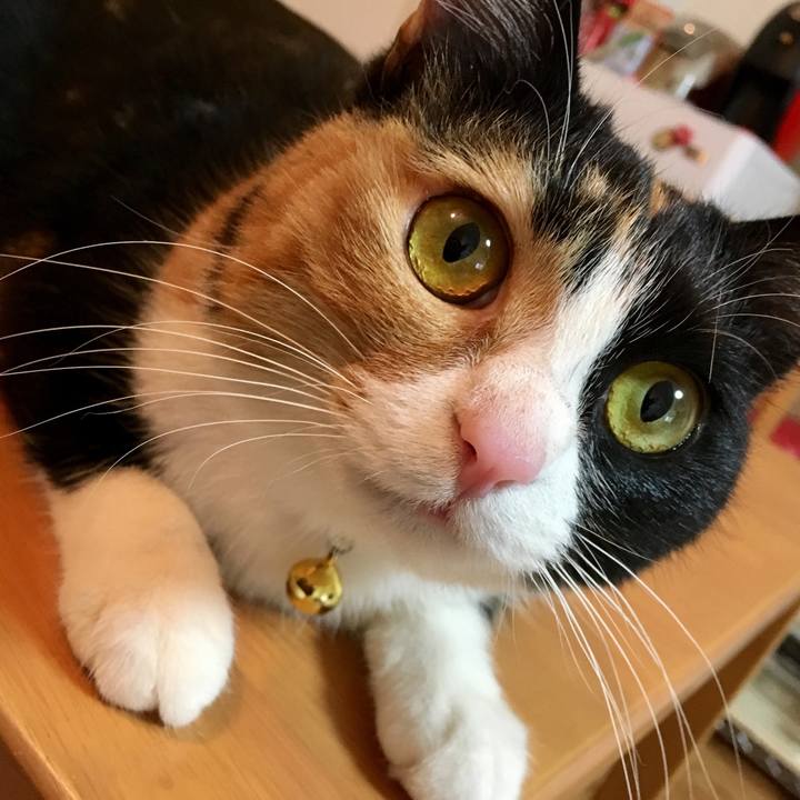 748bec25 e282 4e58 8743 f6aafe535400