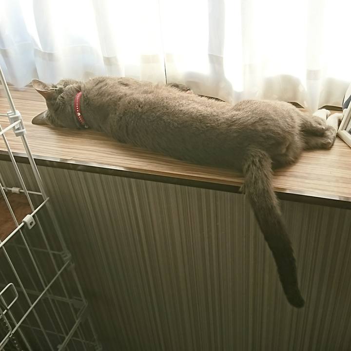 748c5e42 5d6d 4baf 9f05 044ab7cc9529