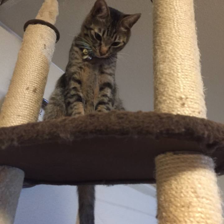 748cb0db 2ab5 4c6b a429 034f466e0d7a