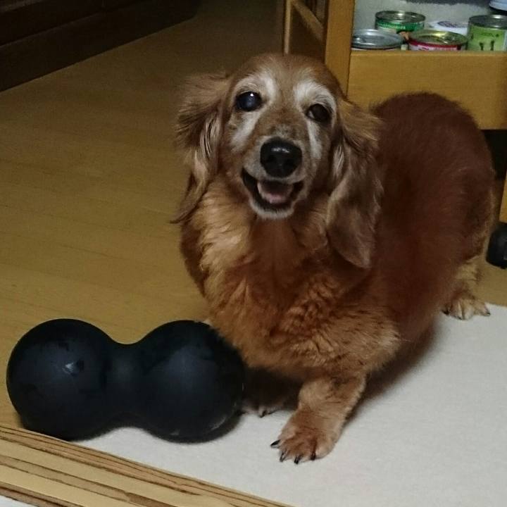 748d8bf3 5e30 47d9 898f ef7e98448be1