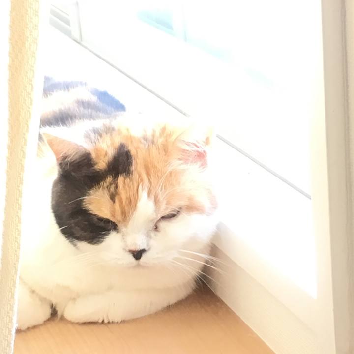 748db1f0 be5b 4b77 86c2 f37b9e902be0