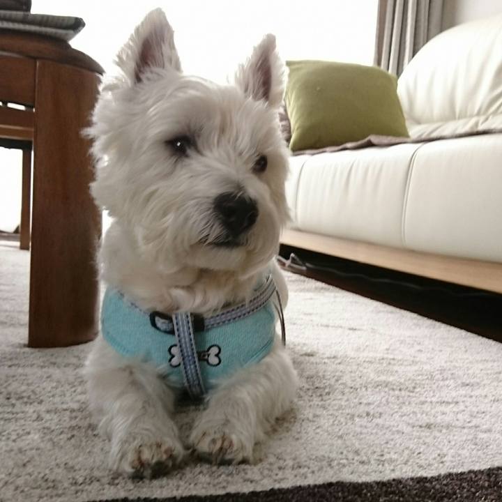 748e6e2a 32c0 464e 8098 96dbf2524746