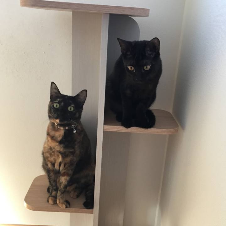 74901801 6f4b 4736 8fd8 db16f336d1b5