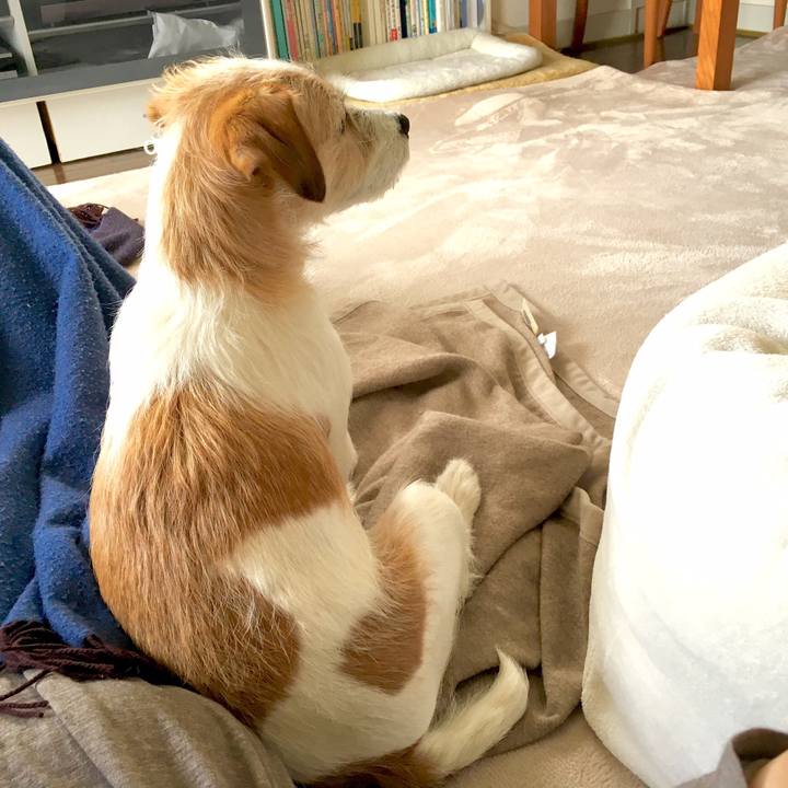 7490f619 3636 4770 960a 78ec72e55389