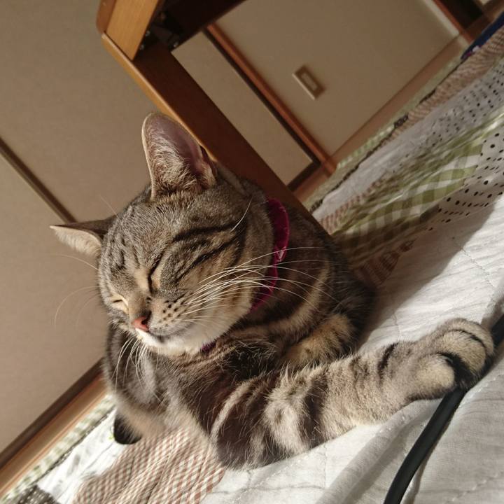 749182c8 bbd2 41fa 9bc9 b378fe6f34dd