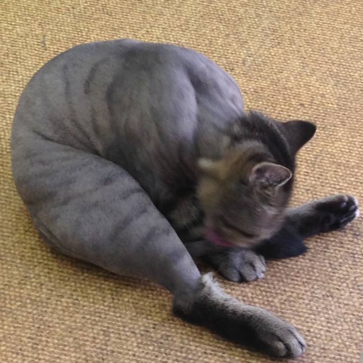 7493245e 30ef 41a7 9d2d d39d8dadf5c5