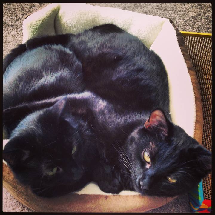 749367b8 9d00 4567 a943 485fa9e116d7