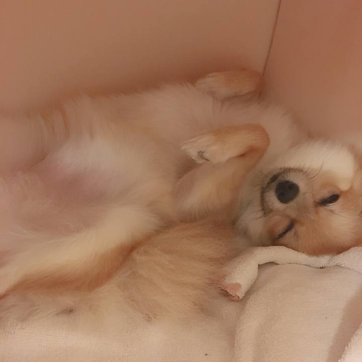 74943c72 a86b 4ce1 b506 e41838d1a88b