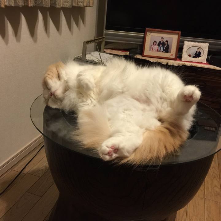 74946422 11d3 41cb 8a1b 16a0fba39969