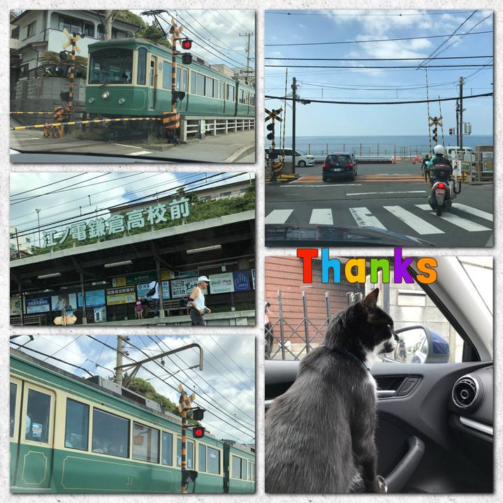 74946ca7 a466 41d1 beb6 6c4b15e462d0