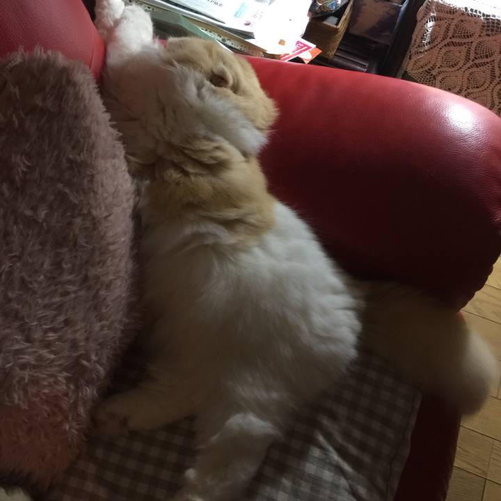 7494a263 2f21 4e8f b3a0 3557b373456c