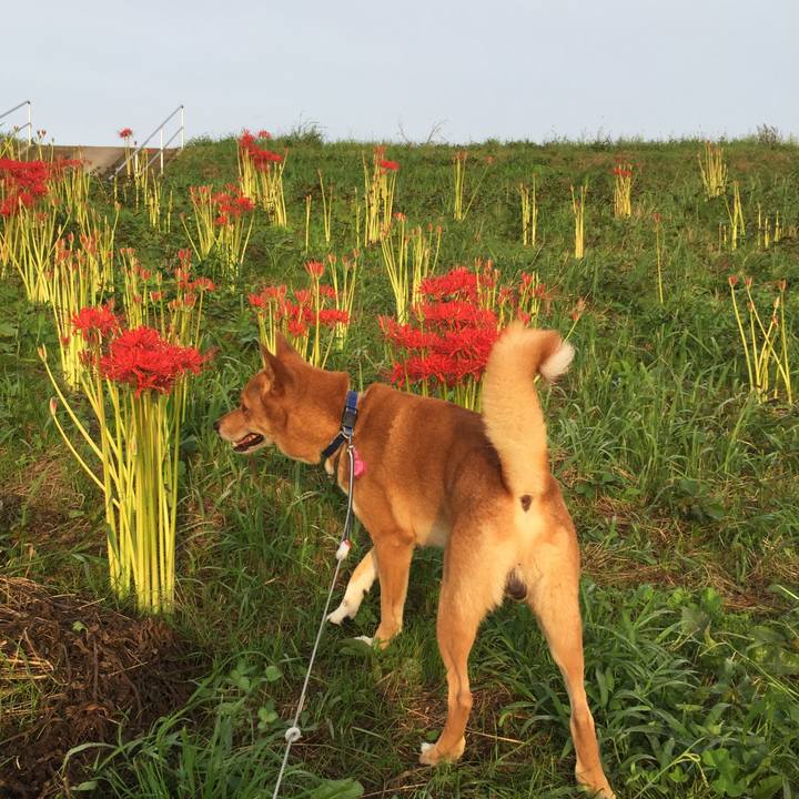 7494b4eb 4976 4ffb 8f12 4c9a20f3efca