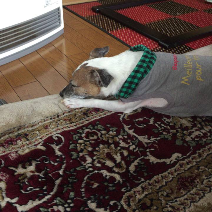 7495137b 62d5 4770 a6d1 b15352d926a6