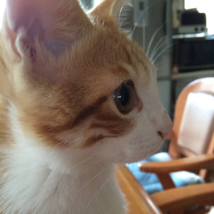 7495d6a4 5f5c 44a9 8c2c 3806ac3c4c13