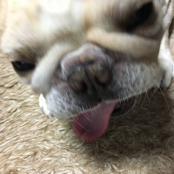 7496306f 9153 42e8 931b 5b06f12c3028