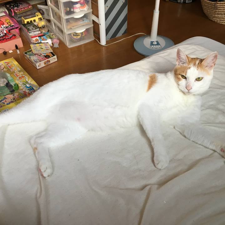 74969f5c 402e 4bf4 852a 82870eb09aa5