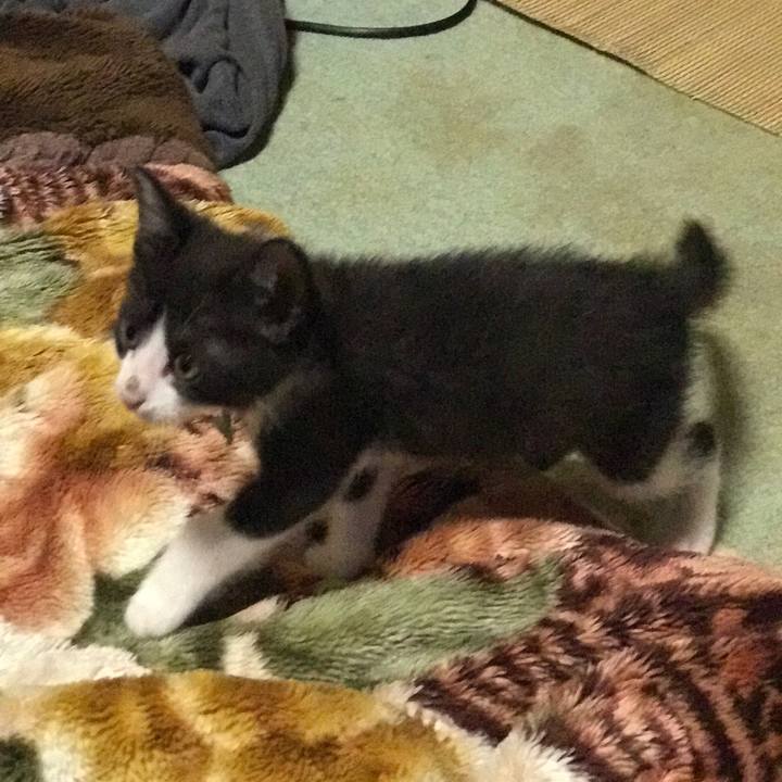 749793a9 85db 4ae6 ade2 4c698c5939ab