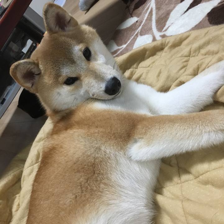 7497b4e2 aaaa 4414 a21c dfee07f60bdf