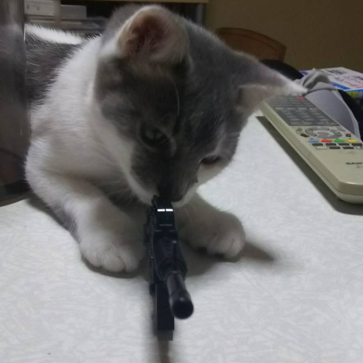 7497c39e e90c 4a23 b531 d3ec4843df6f