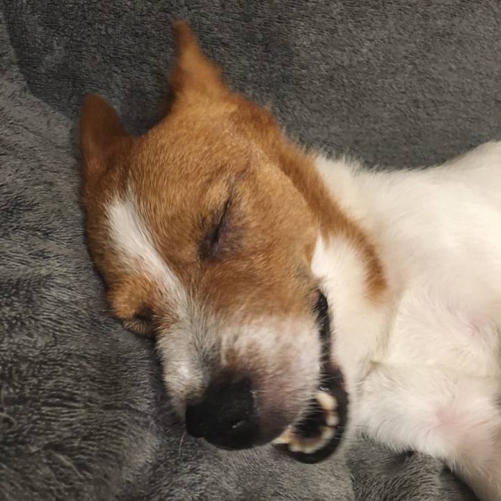 7497e02a 21ce 4a85 9d78 423fd5d50b8b