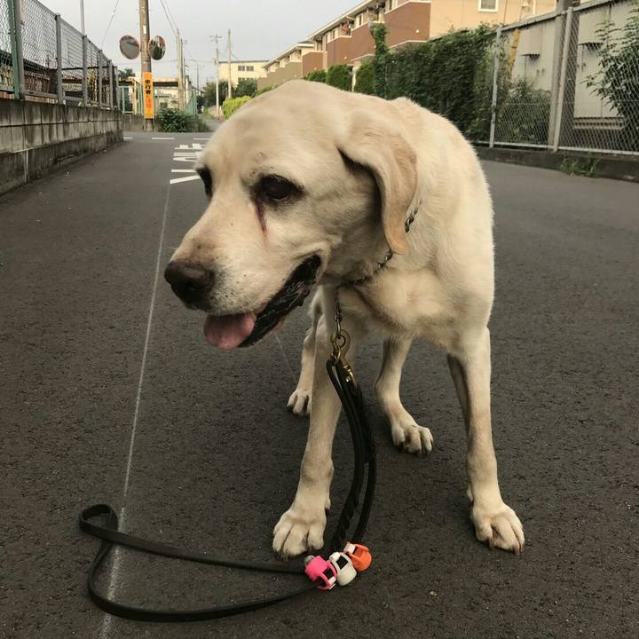 74982e02 b7a9 4ceb b285 b9d7929e3f2b