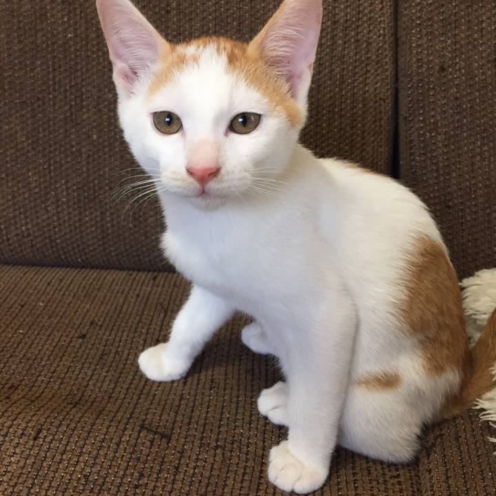 74986718 c012 4b12 8e60 6dad5f888bb0