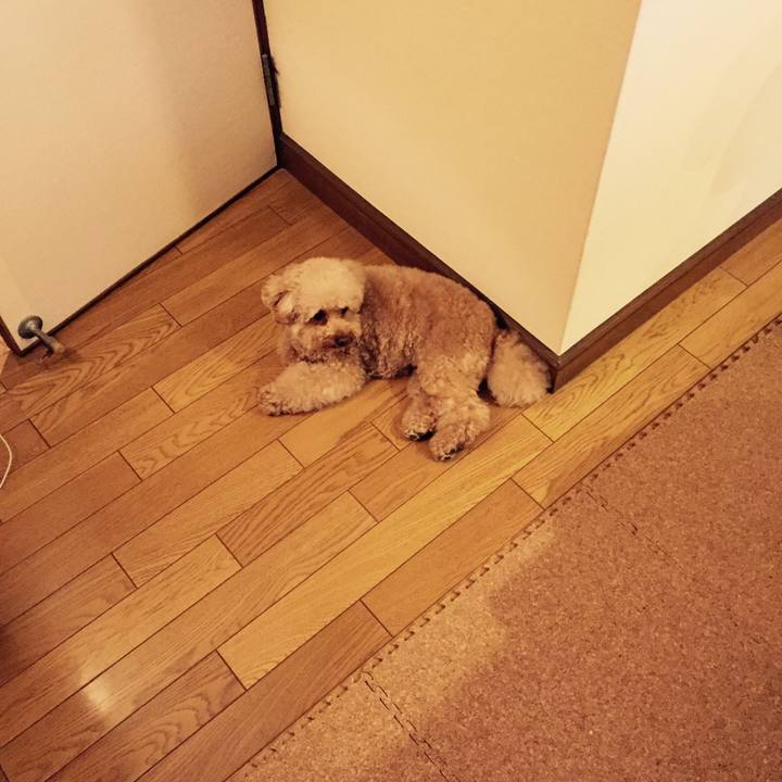 7498b9f0 11ec 4795 821a 169c3c720983